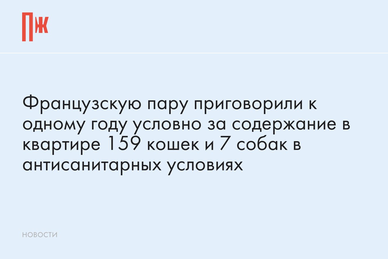 Женщина содержала 159 кошек и 7 собак в своей квартире