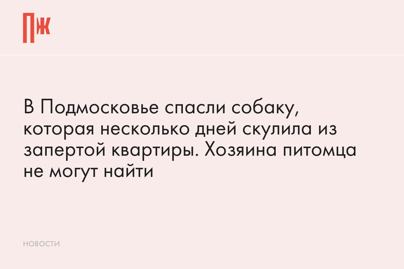 В Подмосковье спасли собаку, которая несколько дней скулила в запертой  квартире