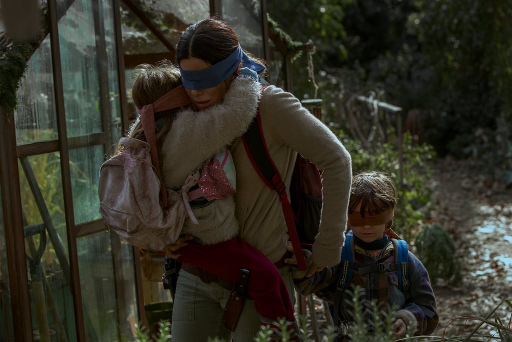 Птичий короб bird box 2018