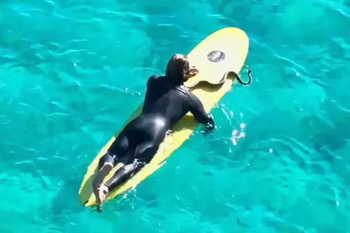 В Австралии мужчину оштрафовали за то, что он занимался серфингом в компании своей домашней змеи