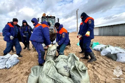 В Краснодарском крае обнаружили новые выбросы мазута на 7 км берега