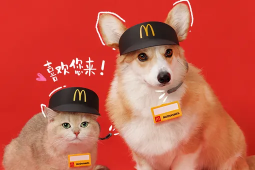 Китайский McDonald's представил игрушки для животных