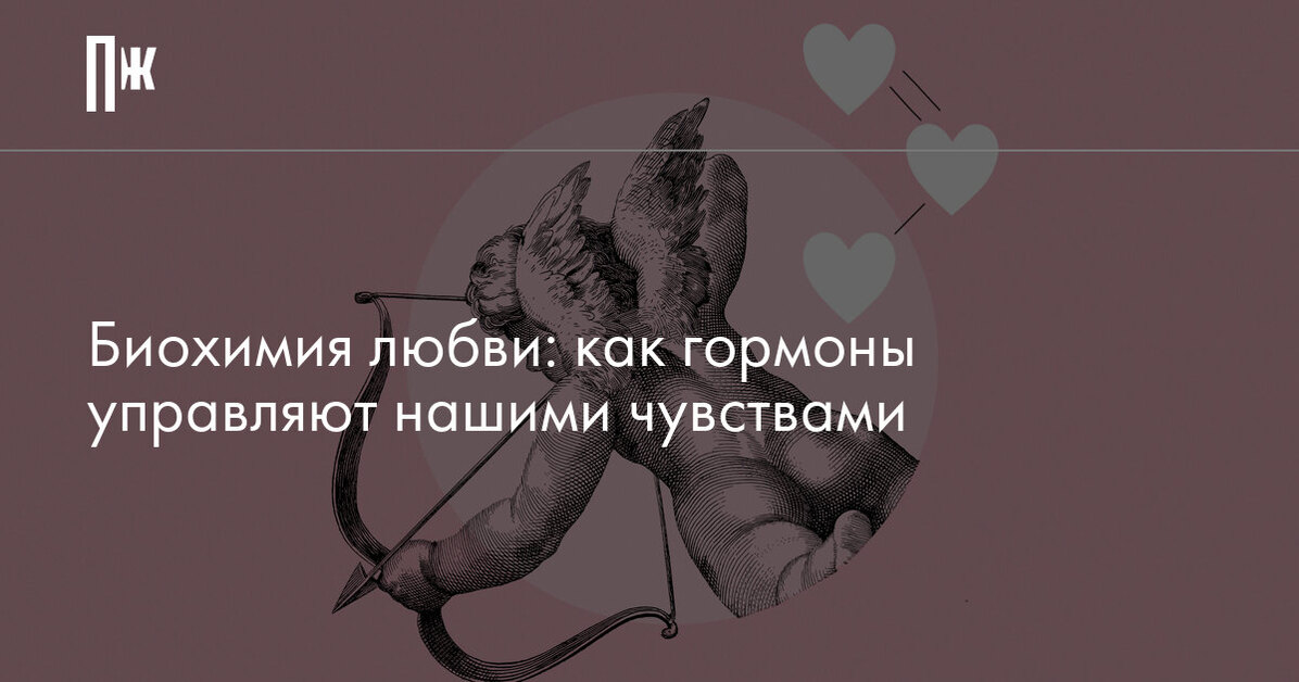 Химия чувств: ученые объяснили, что происходит с организмом, когда мы влюблены