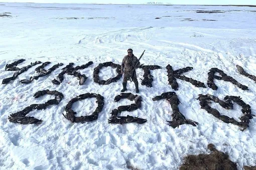 В Магадане найден мертвым депутат, подозреваемый в массовом отстреле гусей