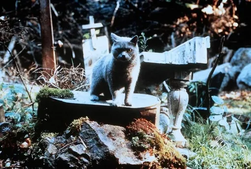 «Кладбище домашних животных» / Pet Sematary (1989)