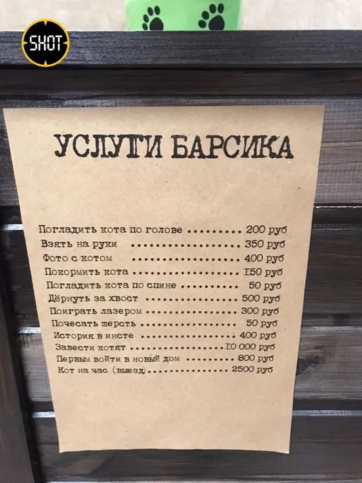 услуги Барсика