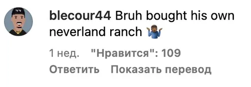 «Бро купил себе собственный "Неверленд"»