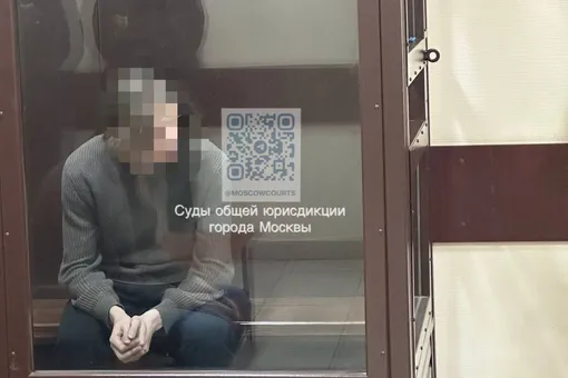 Суд в Москве арестовал 16-летнего подростка по обвинению в жестоком убийстве домработницы