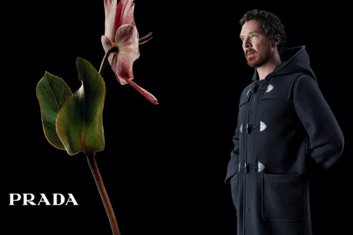 Benedict Cumberbatch x Prada