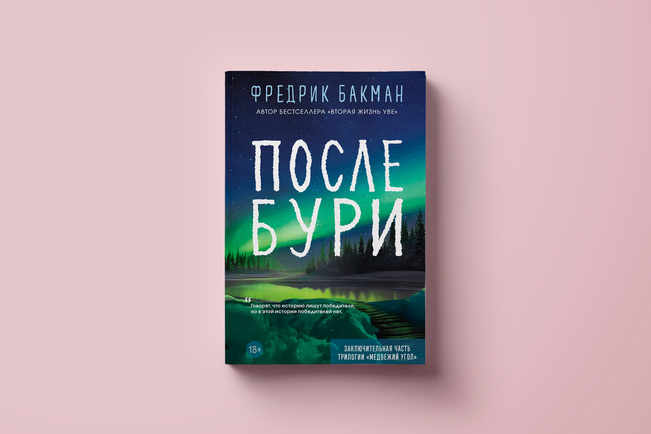 Что читать: долгожданное продолжение трилогии Фредрика Бакмана — роман « После бури» о хоккеисте Бенни, читать фрагмент