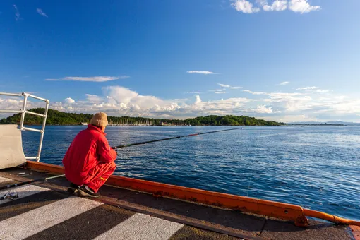 В Норвегии производитель морепродуктов потерял около 27 тыс. особей лосося. Местным рыбакам, которые смогут их поймать, пообещали вознаграждение