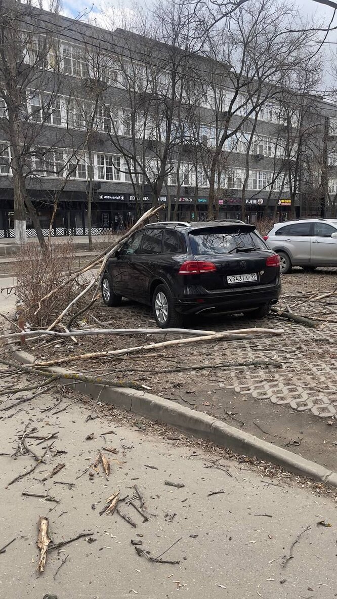 На Москву обрушился шквалистый ветер