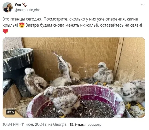 Соцсети