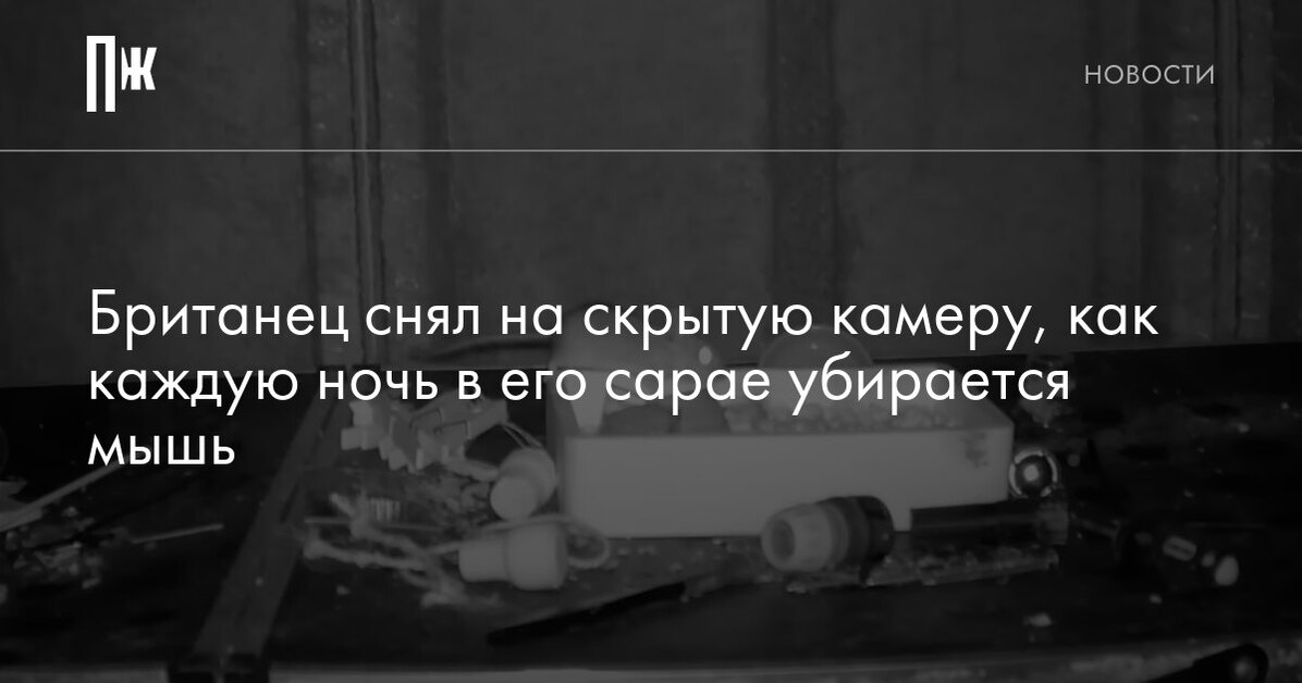 Юрист рассказал, какое наказание грозит за незаконную установку камеры в подъезде