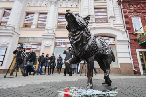 Челябинскому Хатико установили памятник