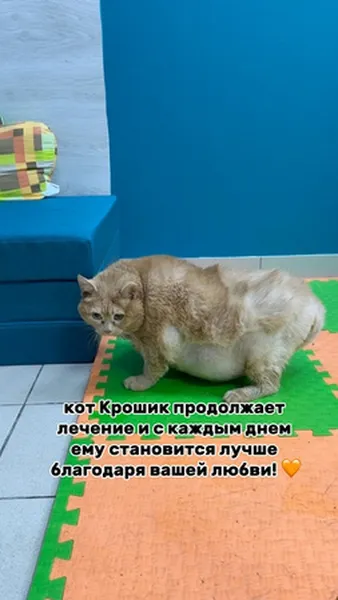 Смотреть