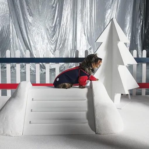 Moncler x Poldo Dog Couture