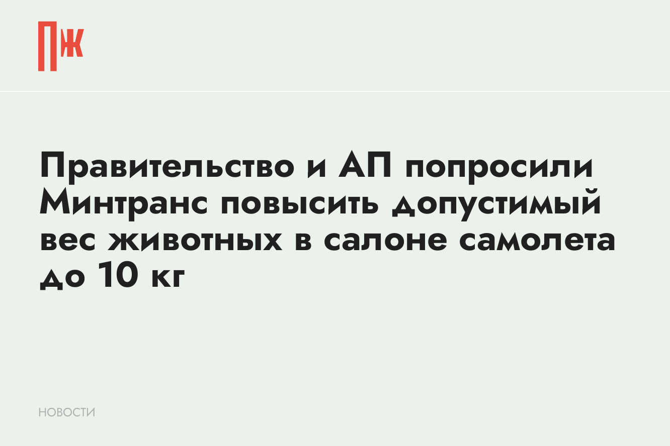 Правительство и АП попросили Минтранс повысить допустимый вес животных в  салоне самолета до 10 кг