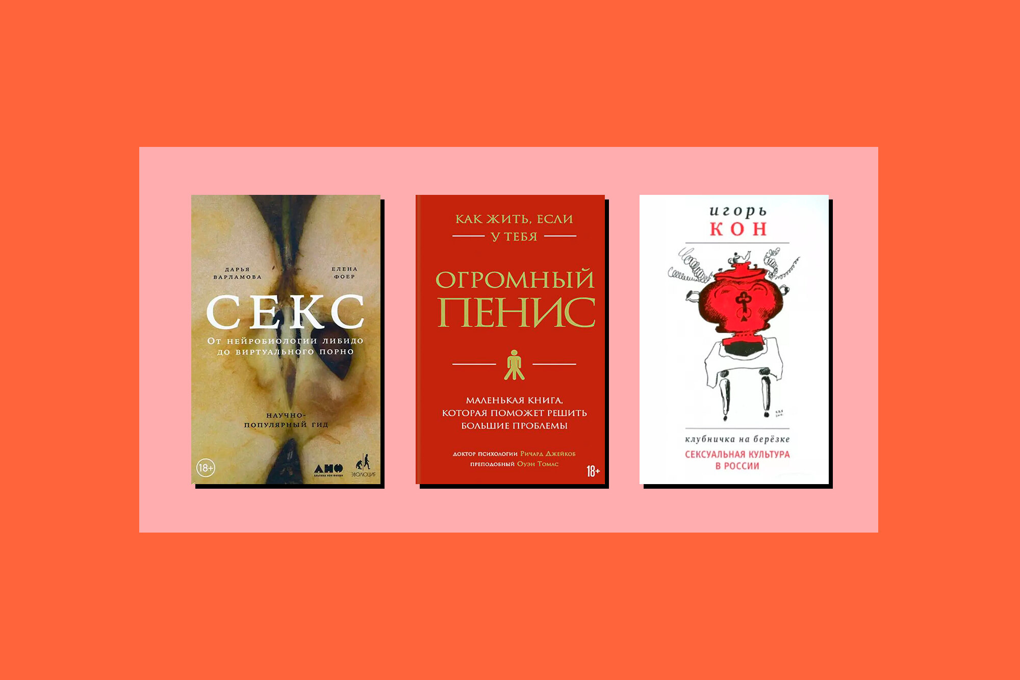 Что читать: 7 лучших книг о сексе. Книги про секс, которые должен прочитать  каждый. «Секс. От нейробиологии либидо до виртуального порно», «Как хочет  женщина. Мастер-класс по науке секса» и еще 5 полезных