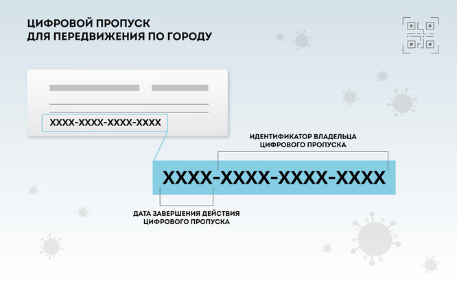 Электронный пропуск 3