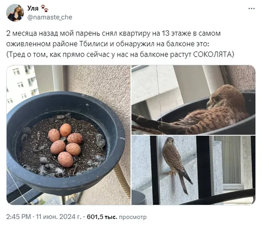 соцсети