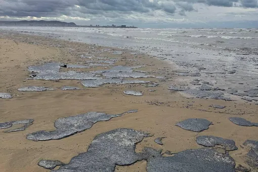 В Краснодарском крае на берег вынесло мазут, разлившийся при крушении танкеров в Керченском проливе. Загрязнено несколько десятков километров