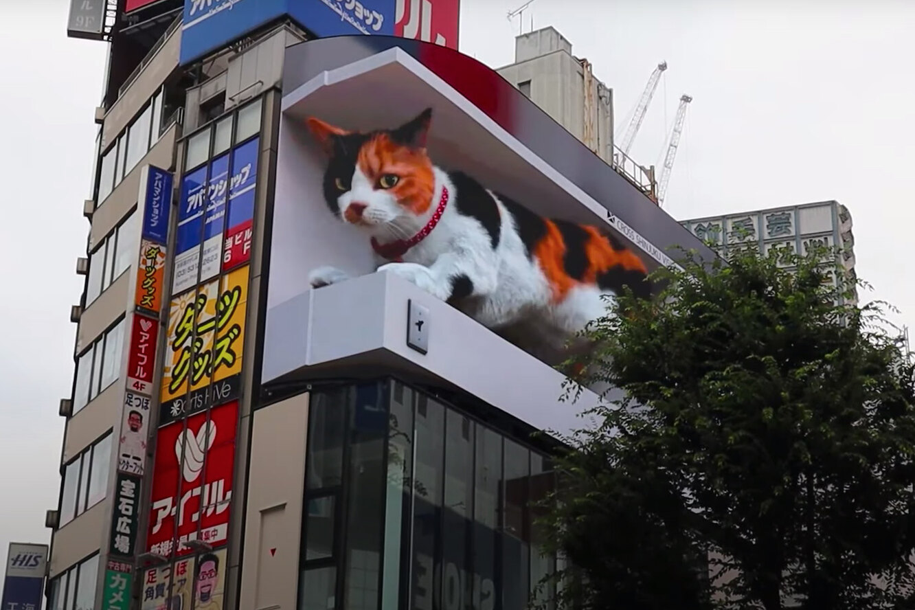 3d кот в Токио