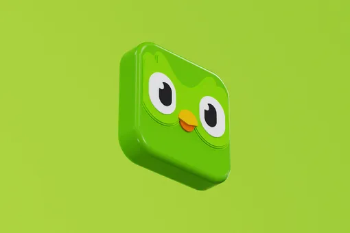 Duolingo удалил из приложения контент с ЛГБТ-пропагандой по требованию Роскомнадзора