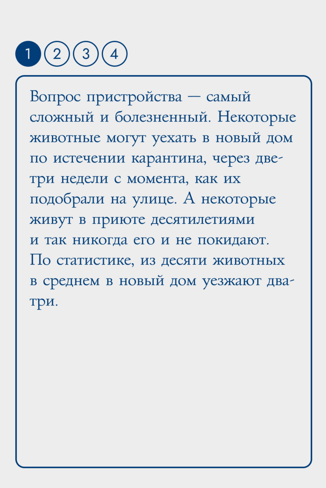 Путь с улицы домой: как его проходят бездомные животные и кто им помогает