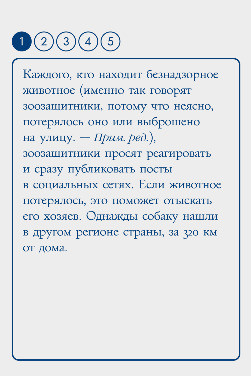 Путь с улицы домой: как его проходят бездомные животные и кто им помогает